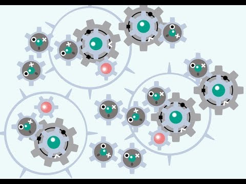 ポケモンUSUM　夢特性いじっぱりギアルプレゼント　0時30ぐらいから