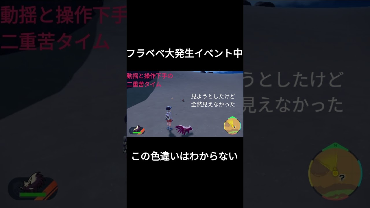 フラベベの色違い、見えなかったね　#ポケモンsv