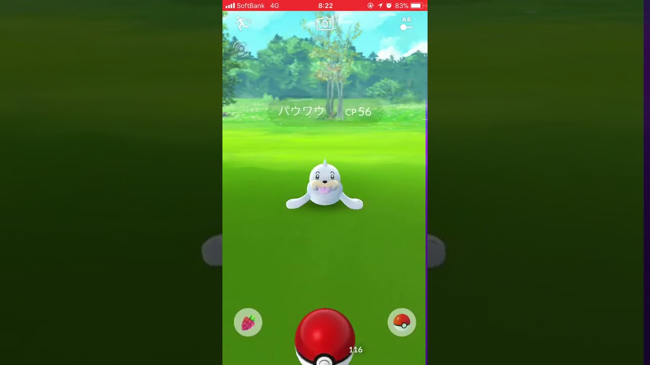 ポケモンGO初ゲット〜パウワウ