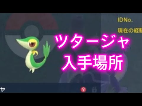 【ポケモンSV】【藍の円盤】ツタージャ入手場所
