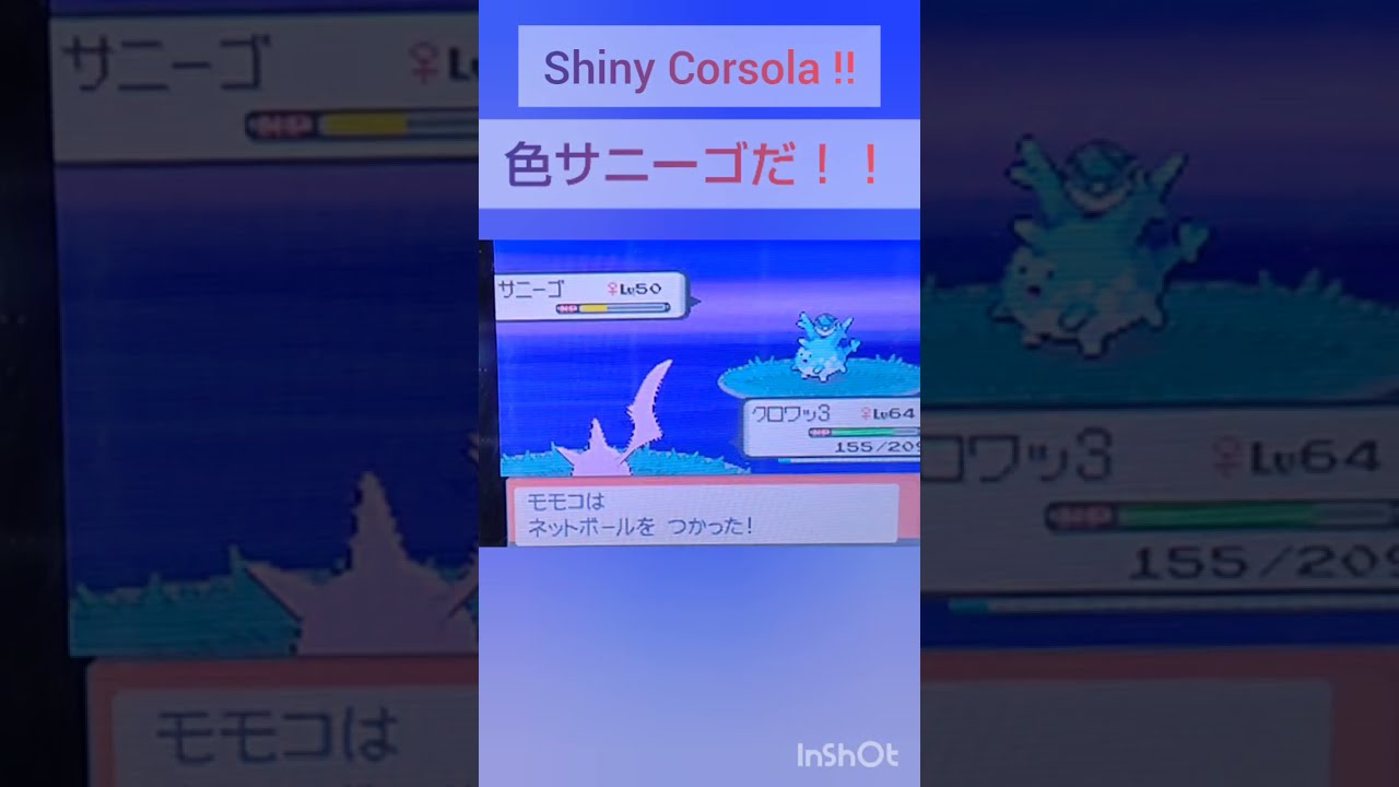 【ポケモンDP】色違い捕獲日記　20日目　サニーゴ　【PokémonDP】The diary Capturing shiny Pokémon's.　Day20　Corsola　#shorts