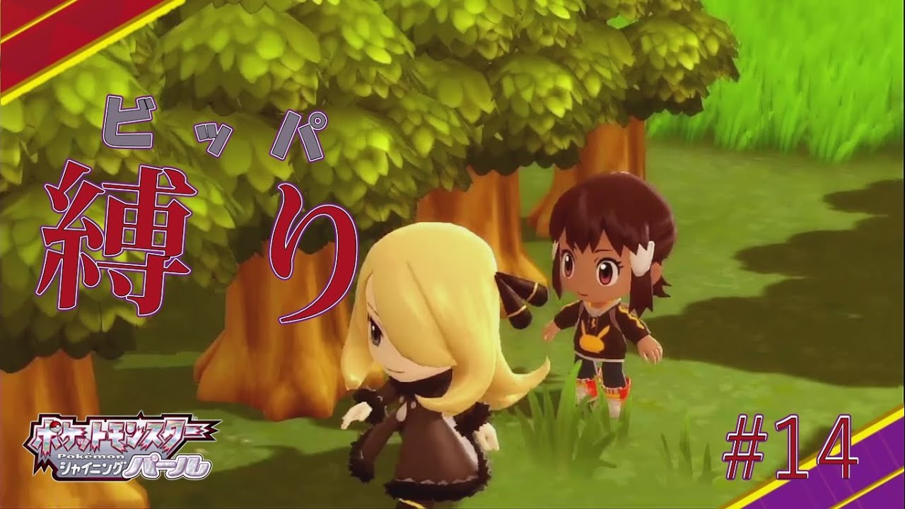 vivaビッパ！シンオウ宮巡り！【ポケットモンスターシャイニングパール】#14