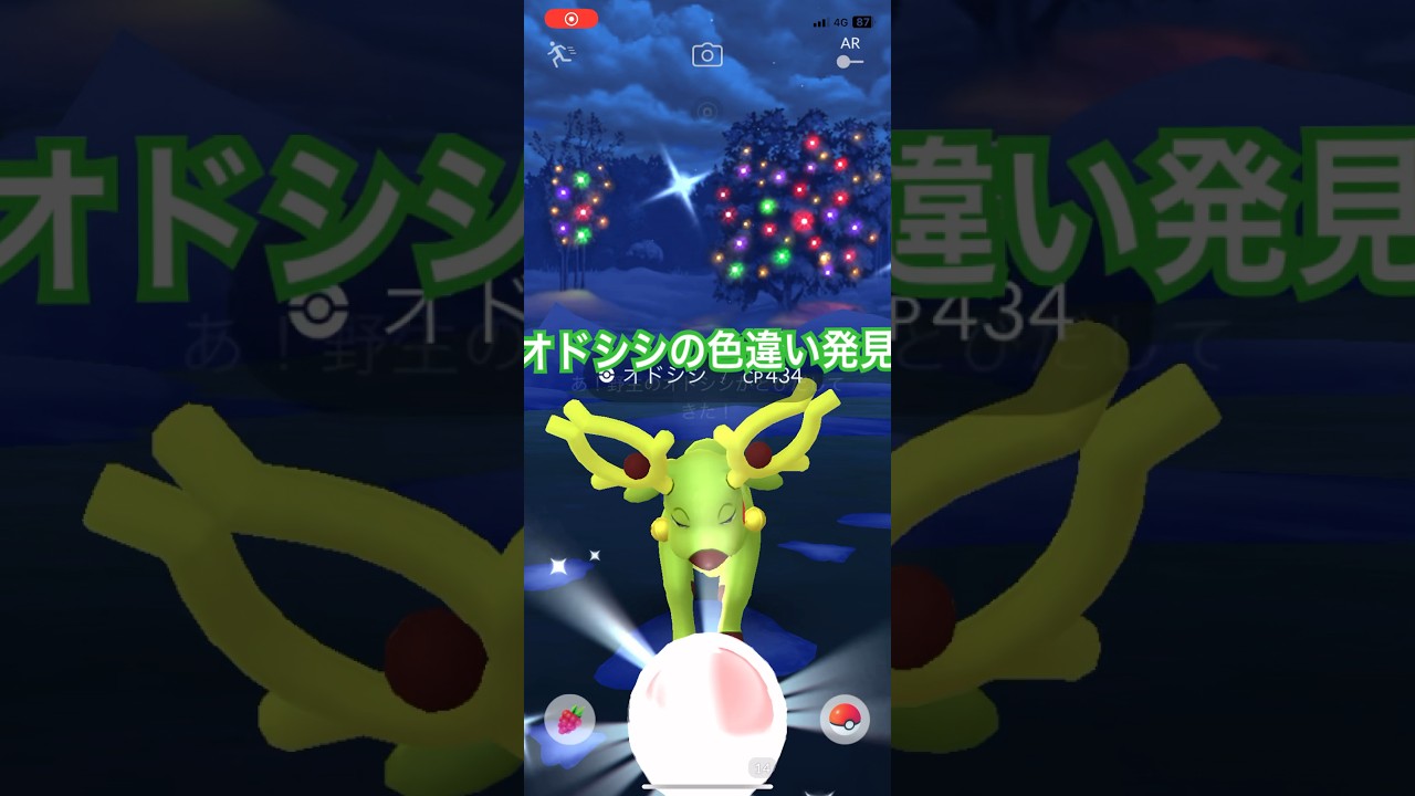 冬限定のオドシシの色違いを捕獲したい✨ #shorts #ポケモンgo #ポケモンgo色違い