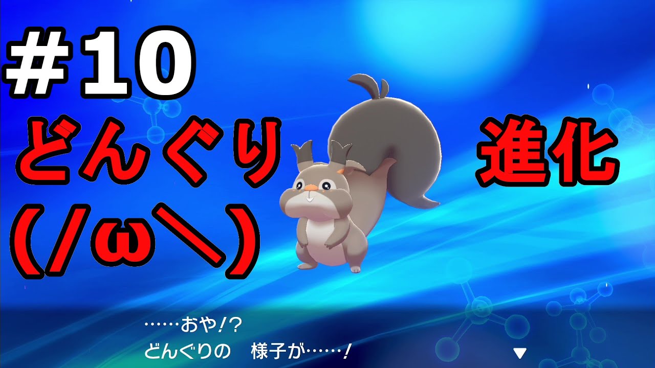 #10 どんぐり（ホシガリス）ありがとう、そして、さようなら【ポケットモンスターソード・シールド実況】