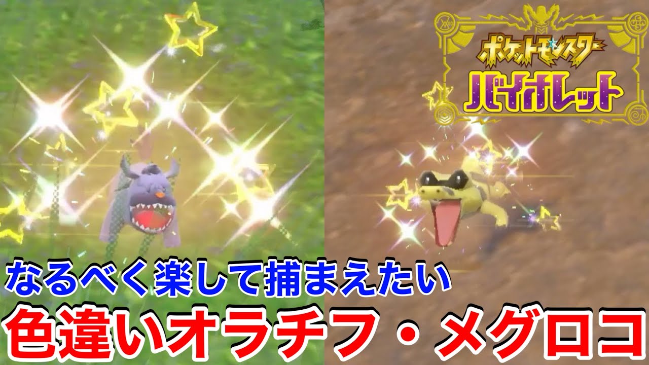 色違いオラチフとメグロコの厳選方法紹介！驚きのスピードで色違い登場！【ポケモンSV】