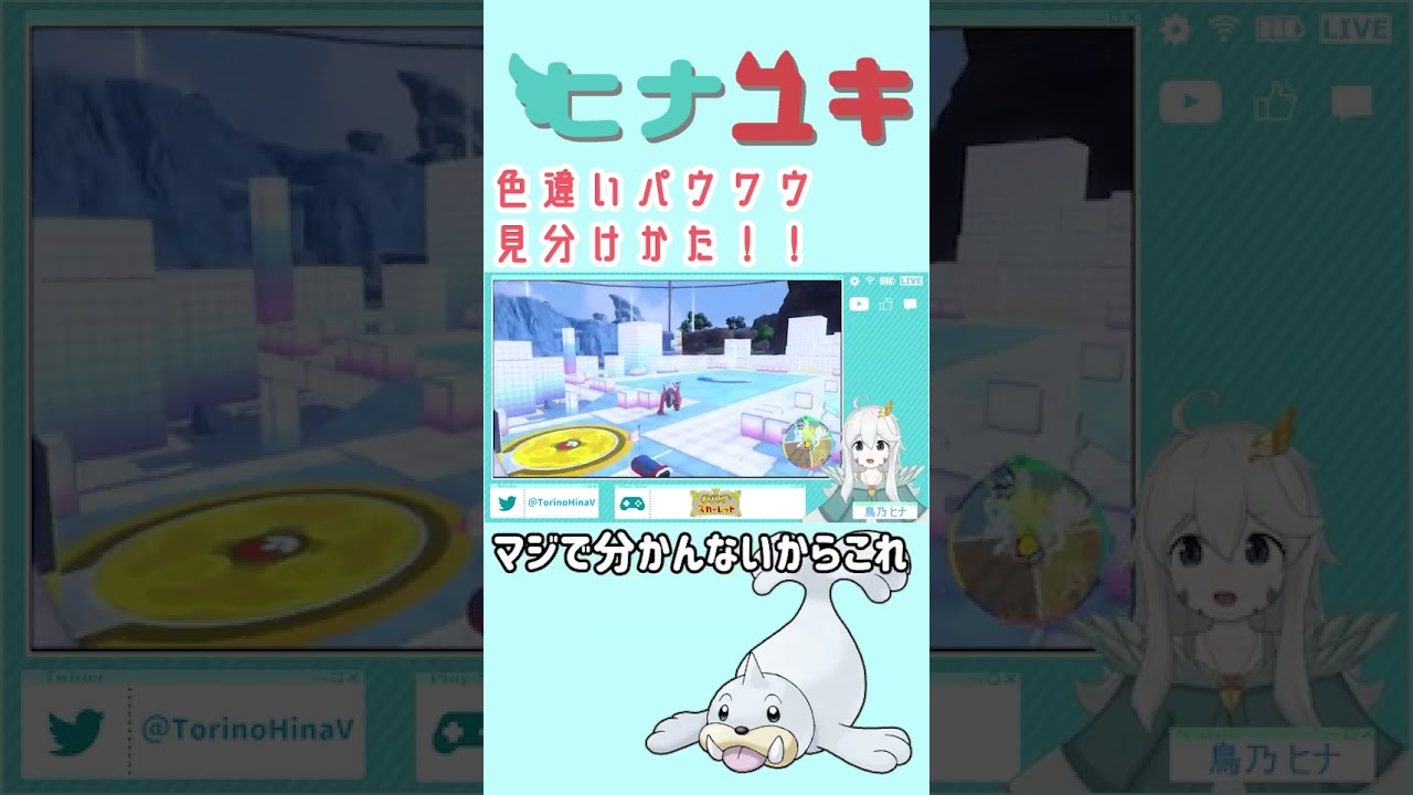 【ポケモンSV】色違いパウワウの見分け方！！【#shorts 】