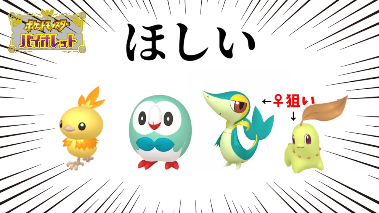 【ポケモンSV】色証♀モクローさんツタージャさんほしい