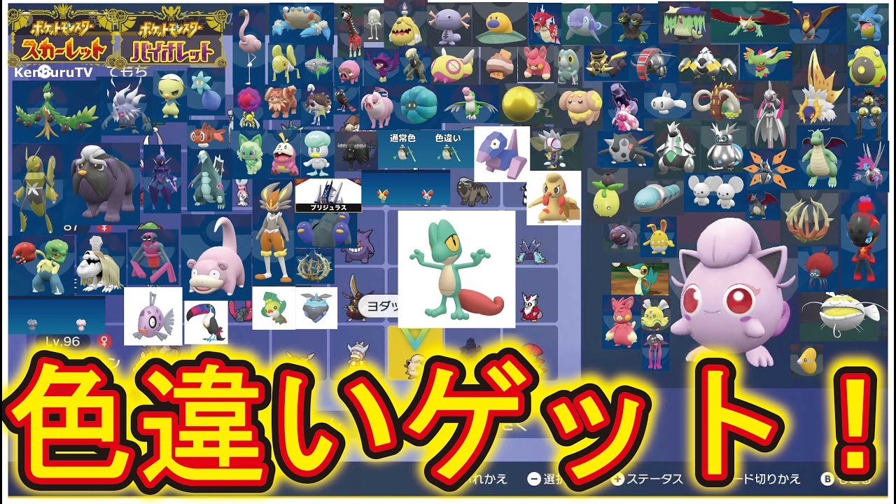 【#ポケットモンスタースカーレットバイオレット蒼の円盤】視聴者参加型！スパイス奢ります！色違い証持ちキモリ出るか！？マルチライブ配信！