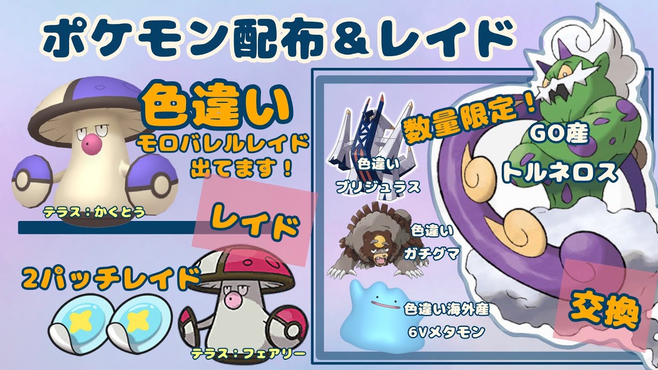 色違いモロバレルと嘘泣ニャイ２パッチ🍄🔴交換Go産トルネロス「色ブリジュラス」色ガチグマ　[メタモン6v（色6v数量）/A0/S0/]「Pokémon」「ポケモンSV」『violet』年1月25日