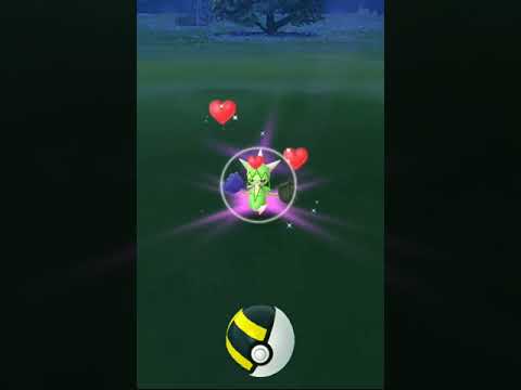 【Pokemon GO】Wailmer Roselia 色違い　ひかった！ロゼリア！