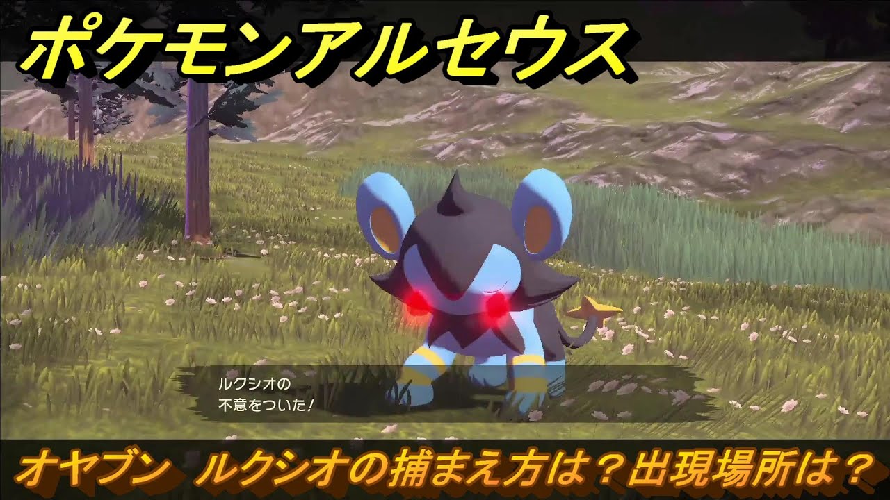 ポケモンアルセウス　オヤブン　ルクシオの捕まえ方は？出現場所は？　＃３８３　【Pokémon LEGENDS アルセウス】