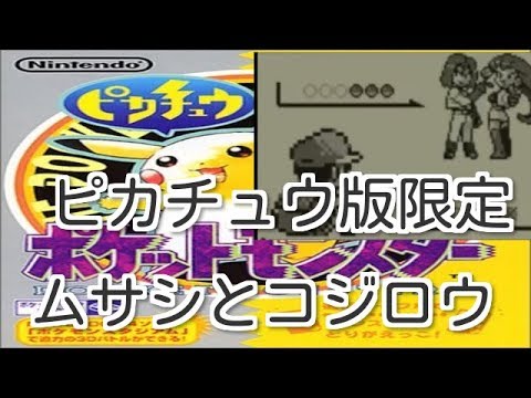 【実況】ピカチュウとラッタ５匹の旅【part3】