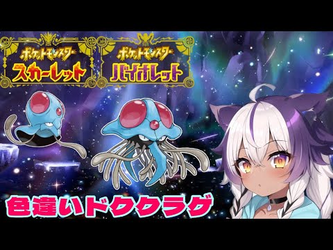 【ポケモンSV】色違いメノクラゲ → ドククラゲ【ポケットモンスタースカーレットバイオレット】