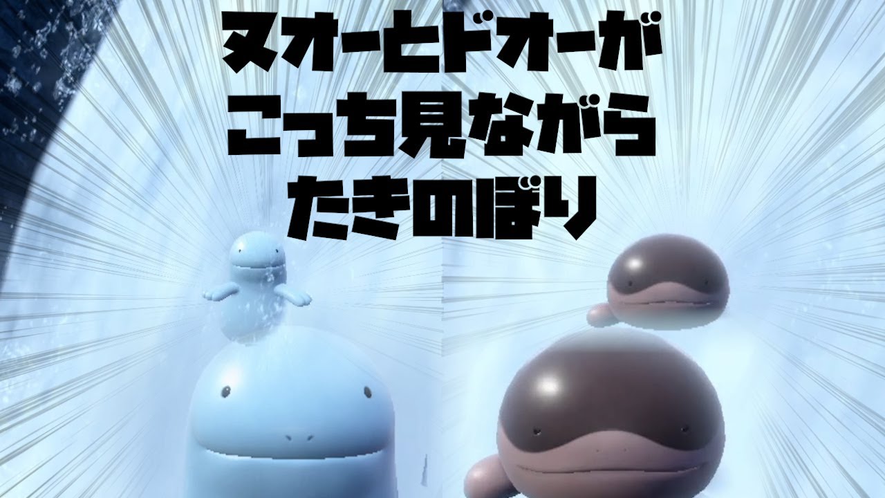 ヌオーとドオーがこっち見ながら「たきのぼり」する動画【ポケモンSV】