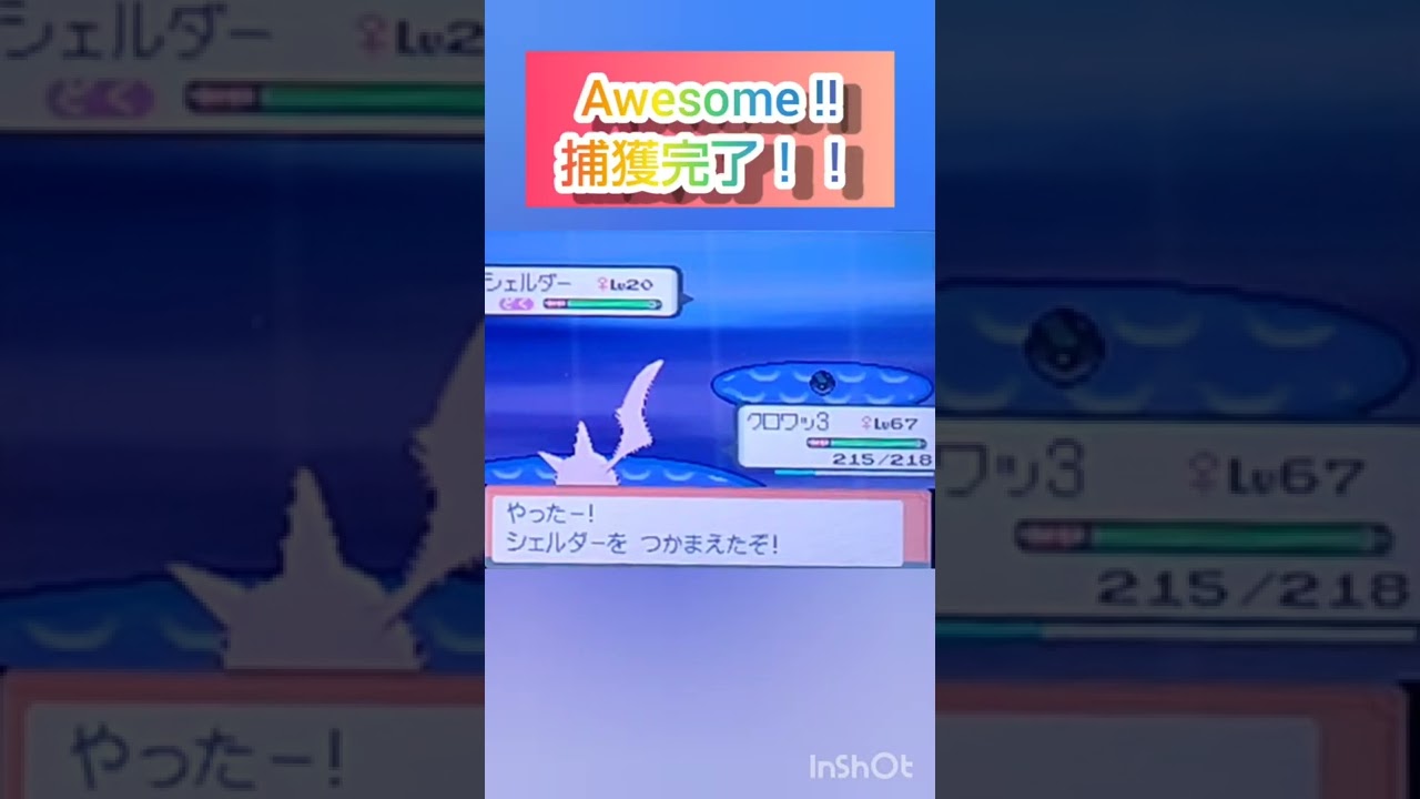 【ポケモンDP】色違い捕獲日記　96日目　シェルダー　【PokémonDP】The diary Capturing shiny Pokémon's　Day96　Shellder　#shorts
