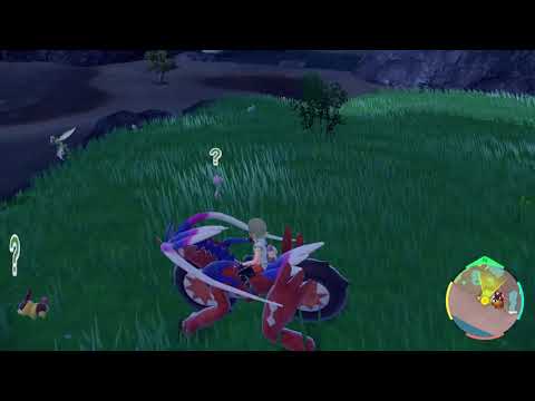 藍の円盤　ポカブ　色違い