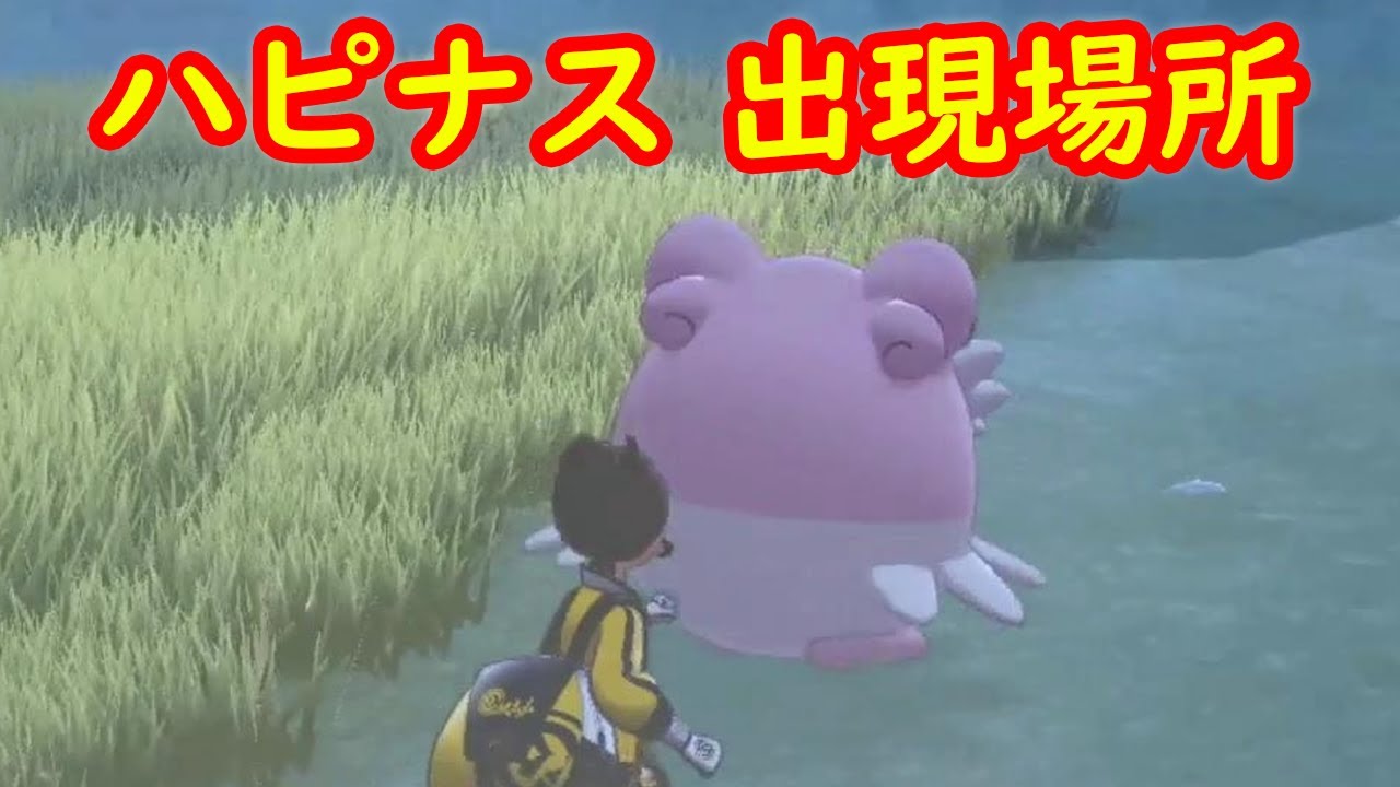 【ハピナス】出現場所 攻略【鎧の孤島 ポケモン剣盾DLC】