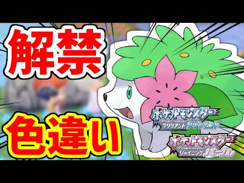 【ポケモンBDSP】超貴重!!ついに解禁されたシェイミの色違いが欲しい!!!