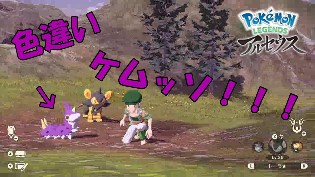 【LEGENDSアルセウス】色違いケムッソ進化・たわむれ集【大量発生】
