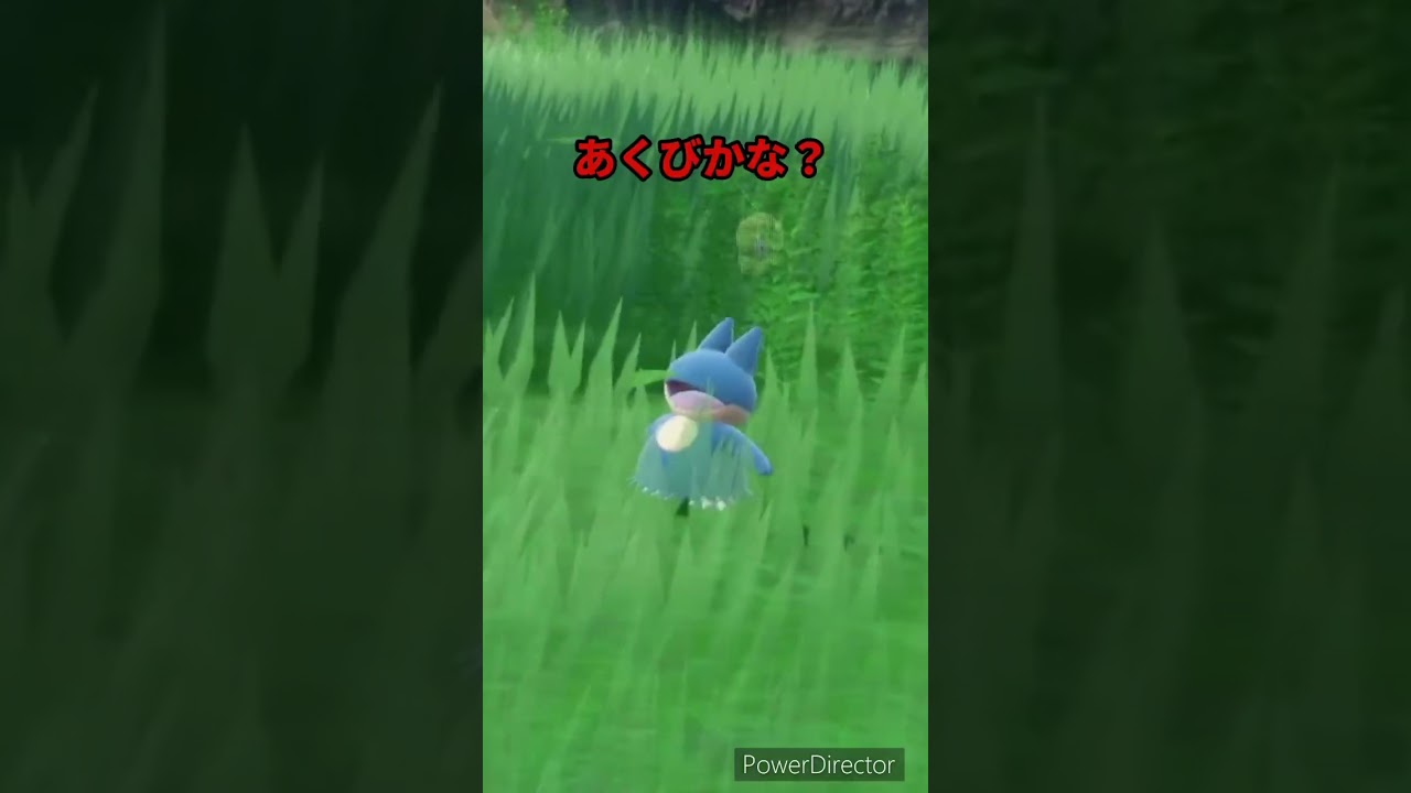 【ポケモンバイオレット】ゴンベって口開けてるとあくびしてるみたいに見えるよね　#ポケモンバイオレット #ゲームリハビリ #shorts
