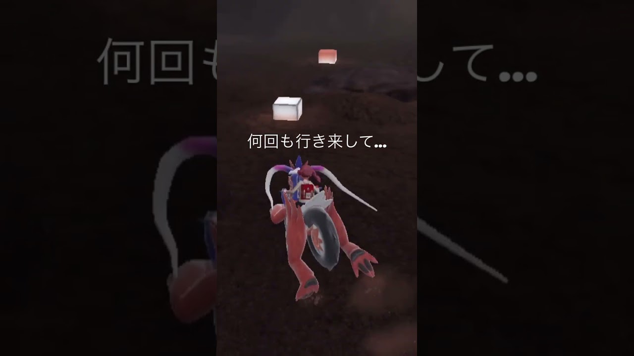 ミズゴロウ大量発生 色違い探し☆彡 #ポケモンsv