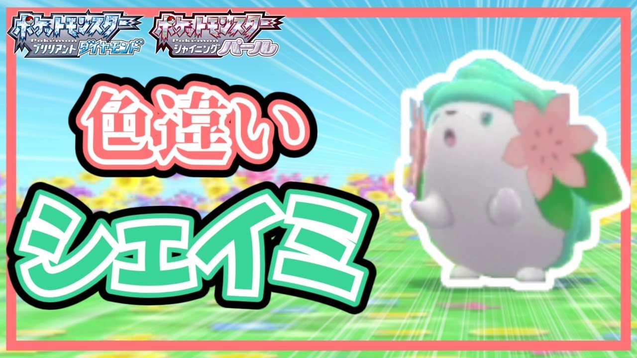 色違いシェイミを捕まえたい！【ポケモンBDSP】【ゆっくり実況】