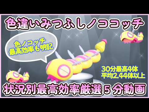色違いみつふしノココッチ最高効率厳選5分動画 3か所比較 30分最高4体 平均2.44体 #ポケモンsv #最高効率 #色違い #ノコッチ #ノココッチ #大量発生なし #ピクニックなし #あり
