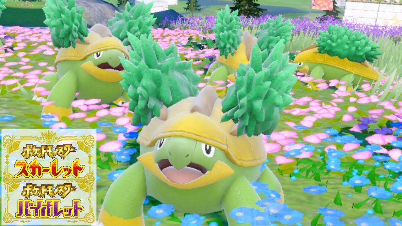 【可愛い】ハヤシガメ６匹に囲まれて癒されピクニック【ポケモンSV】