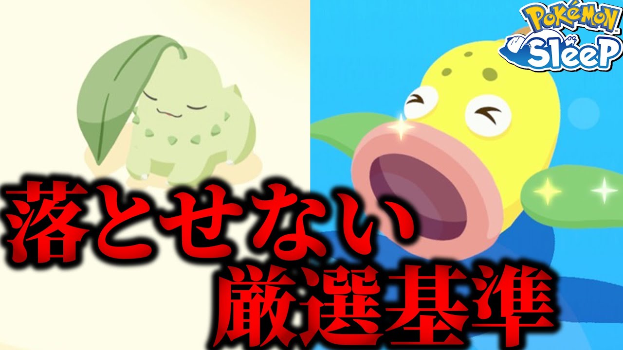 チコリータ厳選基準落としたくても落とせない病【ポケモンスリープ/シアンの砂浜】