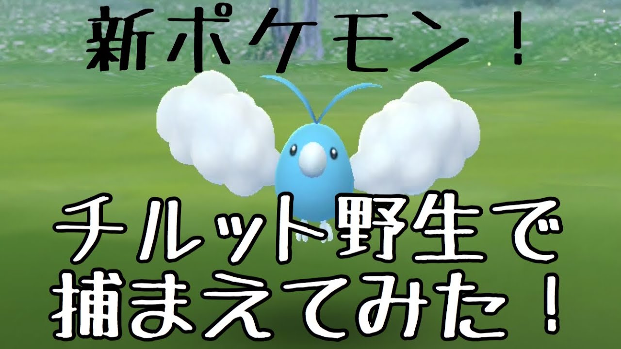 【ポケモンGO】新ポケモン！チルット捕まえてみた！