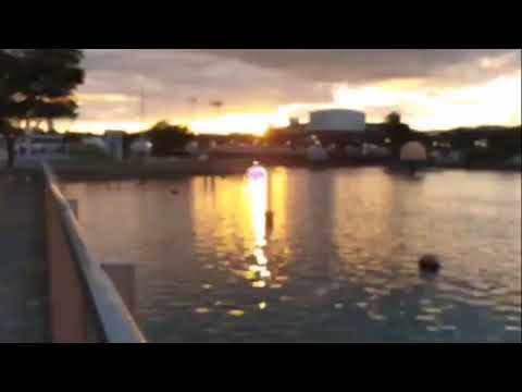 메가디안시 ( Mega Diancie ) メガディアンシー ( 蒂安希 ) (16:9)