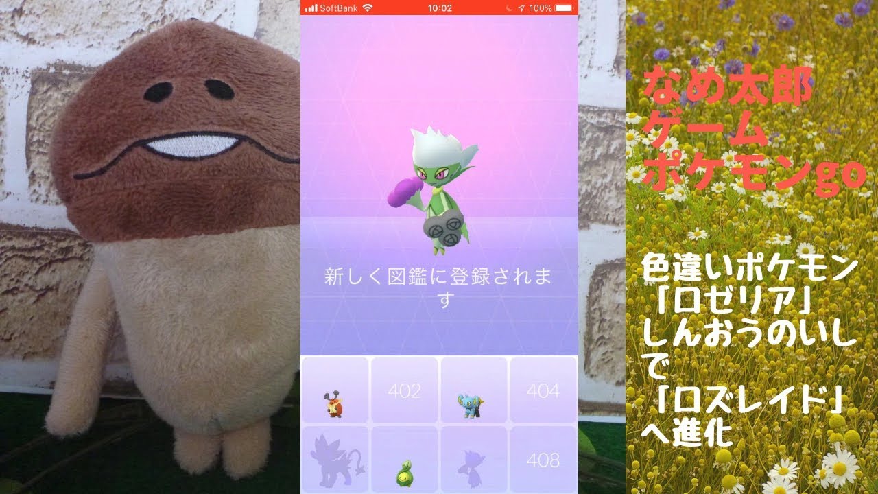 なめ太郎の色違い「ロゼリア」を「しんおうのいし」で「ロズレイド」へ進化【ポケモンgo】