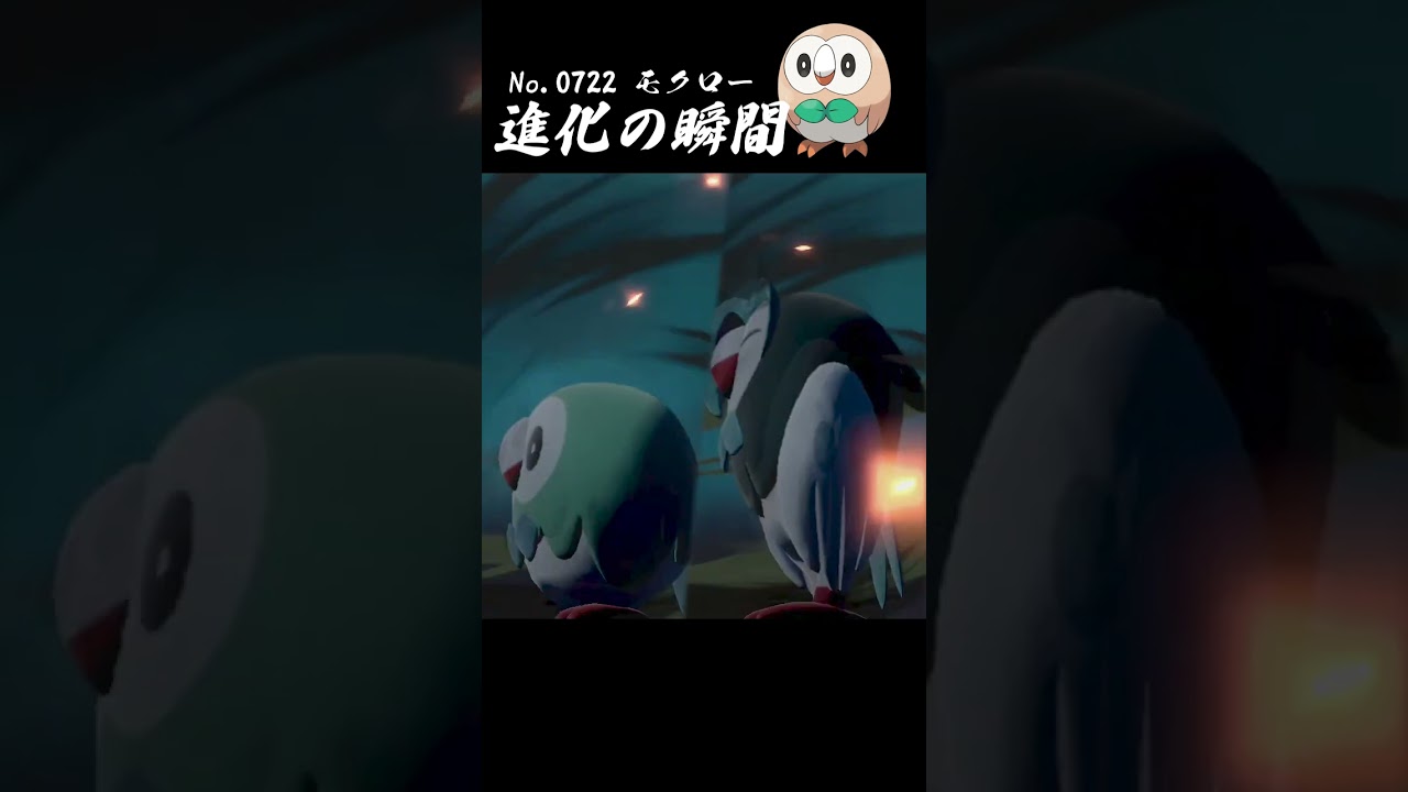 【アルセウス】モクロー 進化の瞬間 #shorts 【色違い編】