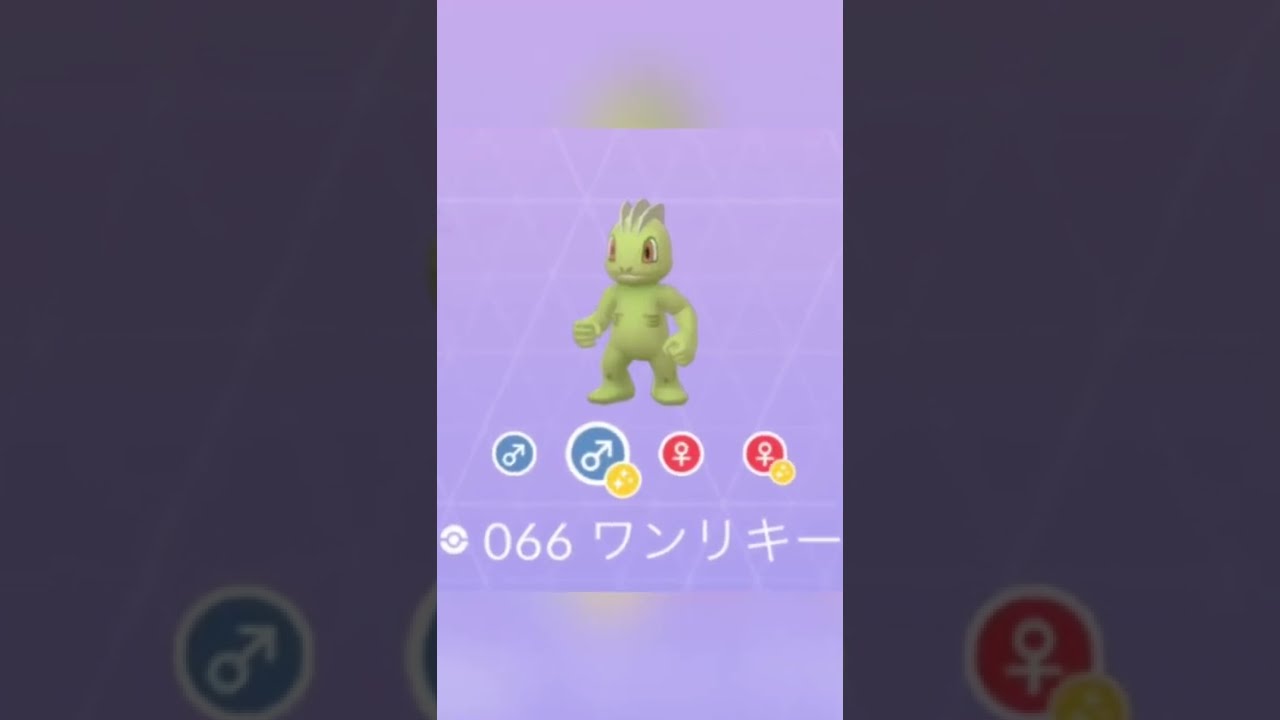 【イロチ✨図鑑】066ワンリキー✨Night #shorts #pokemongo #shinypokemon #Machop #shinypokedex