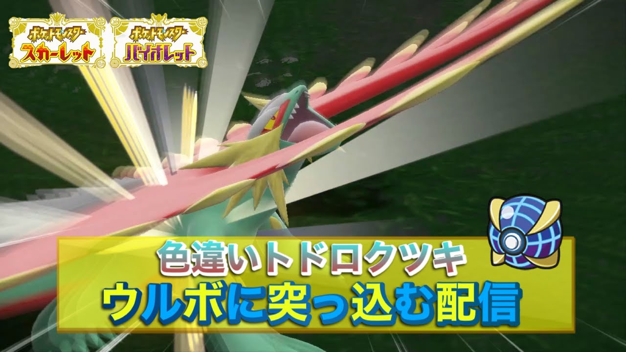 【ポケモンSV】色違いトドロクツキ ウルボ捕獲配信