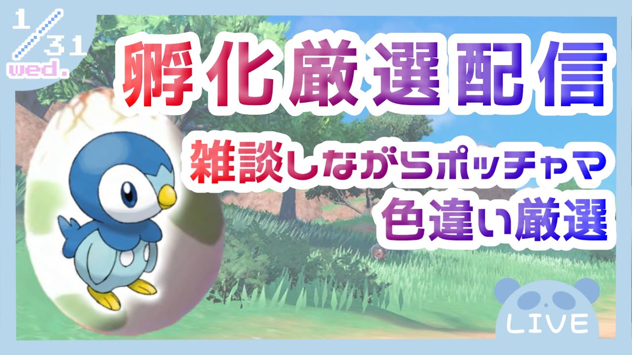 【 ポケットモンスターSV 】ポッチャマの孵化厳選するために雑談しながらたまご屋さんになります！！！！🥚🐧
