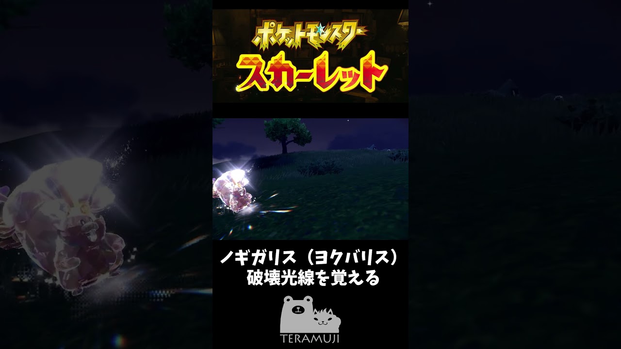 ノギガリスさん（ホシガリス）破壊光線を習得する。 #short #ポケモン #ゲーム実況