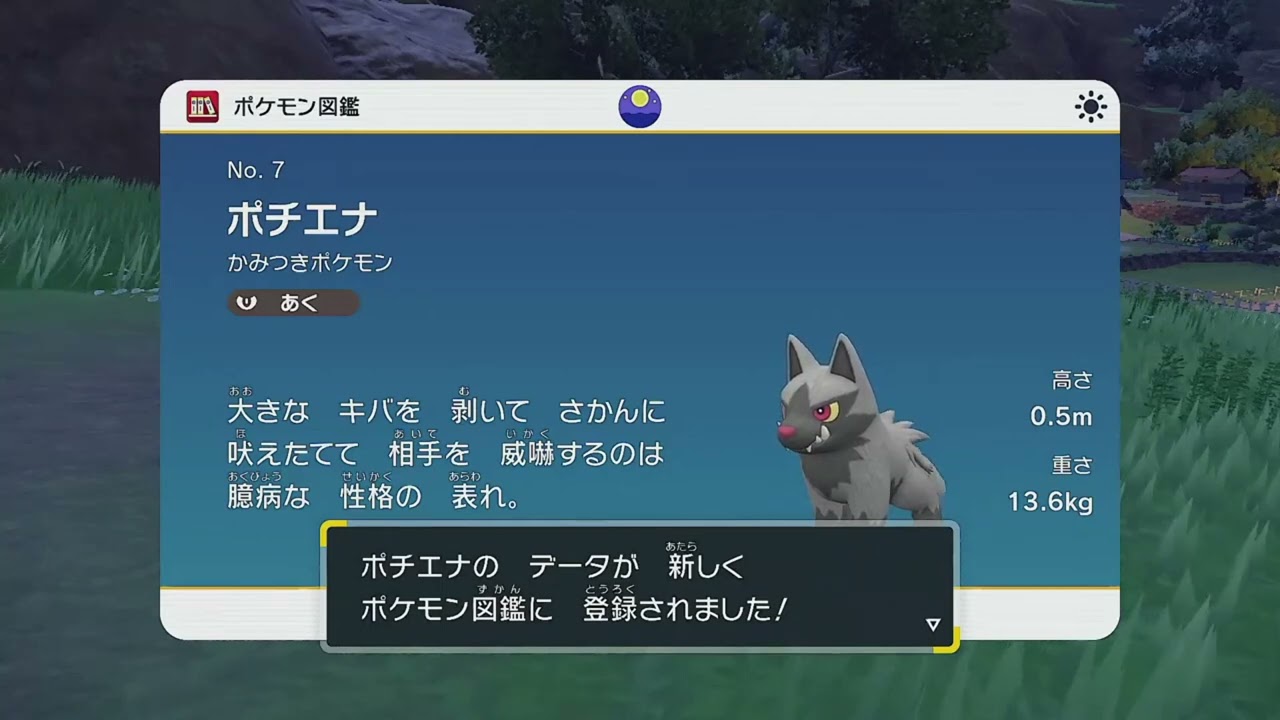 【通常版】No7 ポチエナ図鑑登録完了！【ポケモンSV】