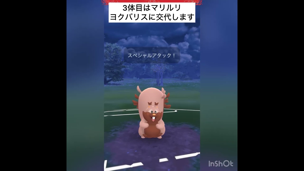 ナマズンVSヤミラミ