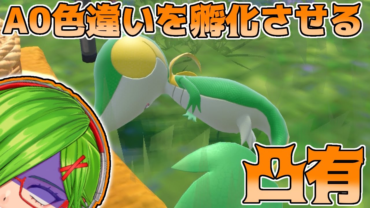 【＃ポケモン】A0ラブボ入り色違いジャローダが欲しいんだ【＃新人Vtuber】