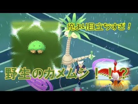 【ポケモンGO】アローラナッシー面白すぎｗｗまたまた色違いGETも！？【ｱﾄﾞﾍﾞﾝﾁｬｰｳｨｰｸ】