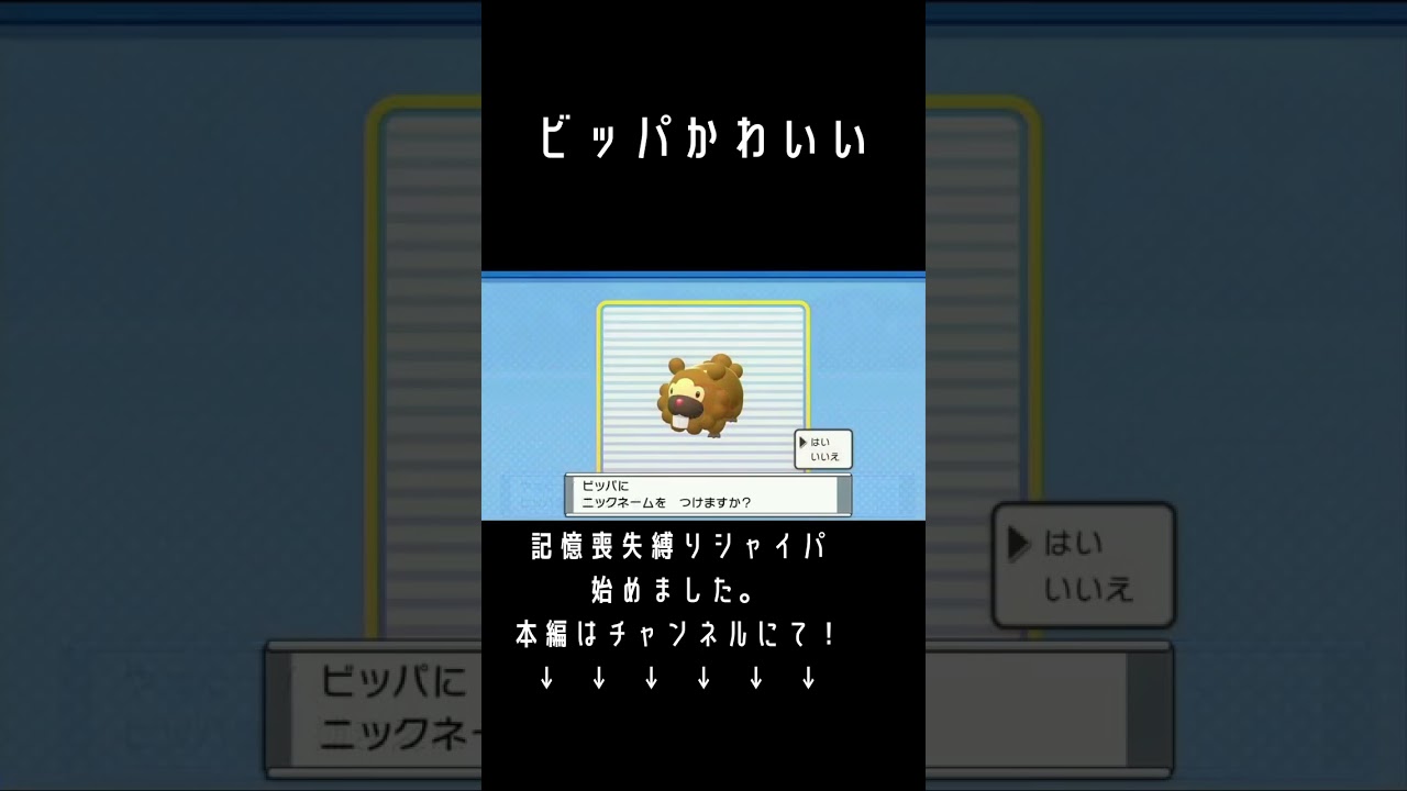 ビッパがとにかくかわいいダイパリメイク【ポケモンBDSP】#shorts