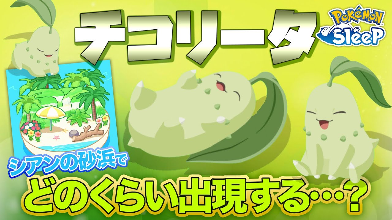 【ポケモンスリープ】シアンの砂浜でチコリータってどのくらい出現する…？？これまでのリサーチ結果を元にカウントしてみた