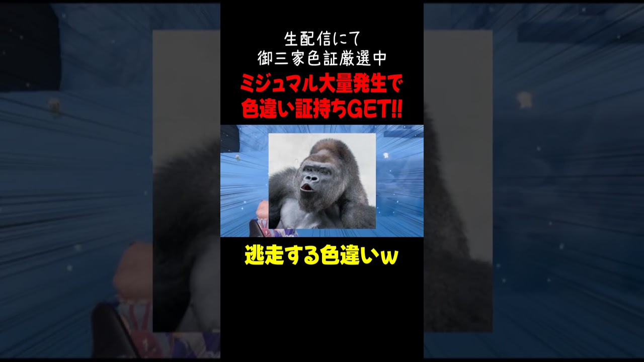 ついにミジュマルの色違い証持ちGET！？【ポケモンSV】#shorts