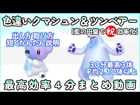 藍の円盤で祝効率化クマシュン＆ツンベアー最高効率4分まとめ30分平均2.1体以上 大量発生あり＆なし説明#ポケモンsv #最高効率 #色違い #クマシュン #ツンベアー #藍の円盤 #大量発生なし