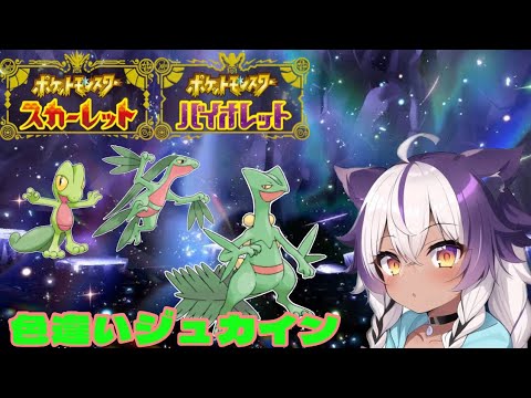 【ポケモンSV】色違いキモリ → ジュプトル → ジュカイン【ポケットモンスタースカーレットバイオレット】