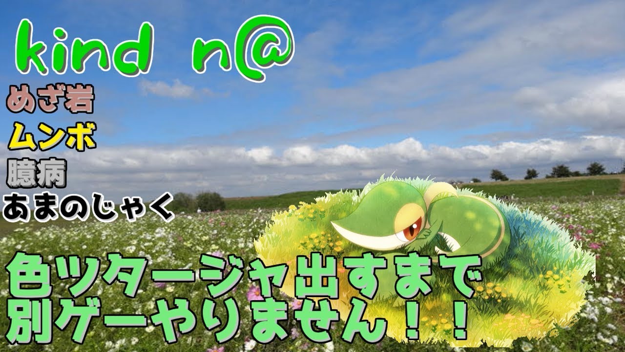 【ポケモンUSUM】長いことやってなかったので、色ツタージャ出すまで別げーやりません【雑談】【色違い】