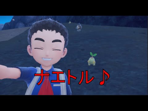 番外編【ポケットモンスターバイオレット】視聴者さんと一緒にわいわいレイドしたよ　まったりプレイ生配信