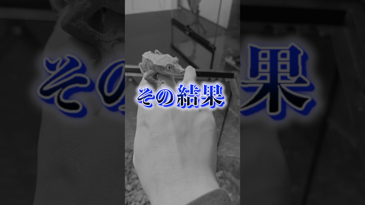 障害のあるペットを病院に連れて行った結果…