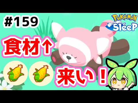 【睡眠リサーチ】＃159『このヌイコグマを探しています』【ポケモンスリープ/pokemon sleep】【無課金ゆっくり実況ずんだもん】